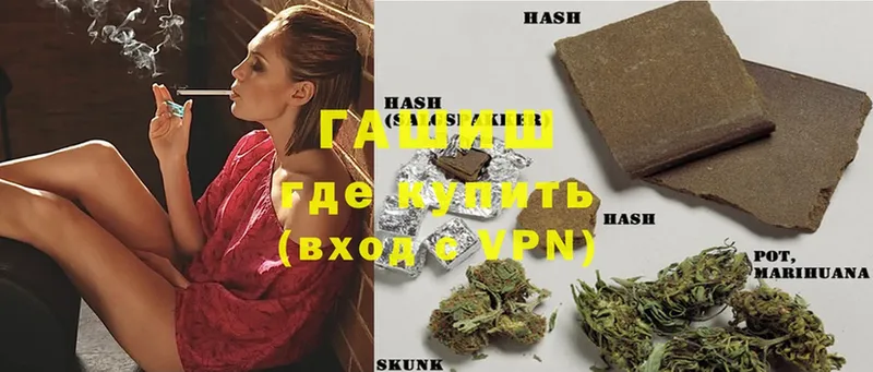 kraken ТОР  Выборг  Гашиш VHQ 