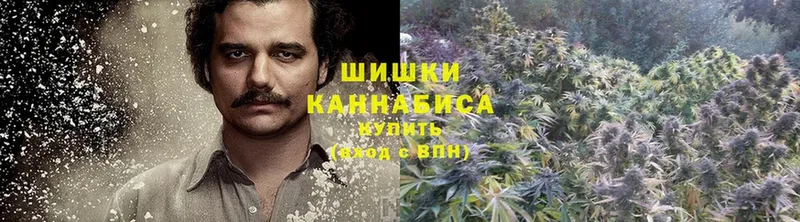 Канабис Amnesia  Выборг 